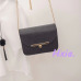 Free shipping, 2019 new women handbags, fashion Korean version shoulder bag, chain messenger bag, sweet woman bag.